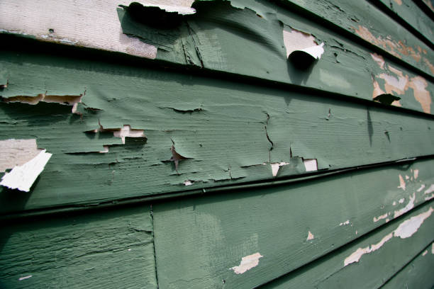  Sierra Vista Southeast, AZ Junk Removal Pros